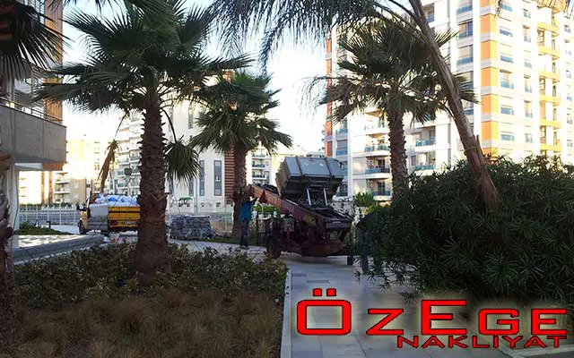 evden eve mobilya asansörü